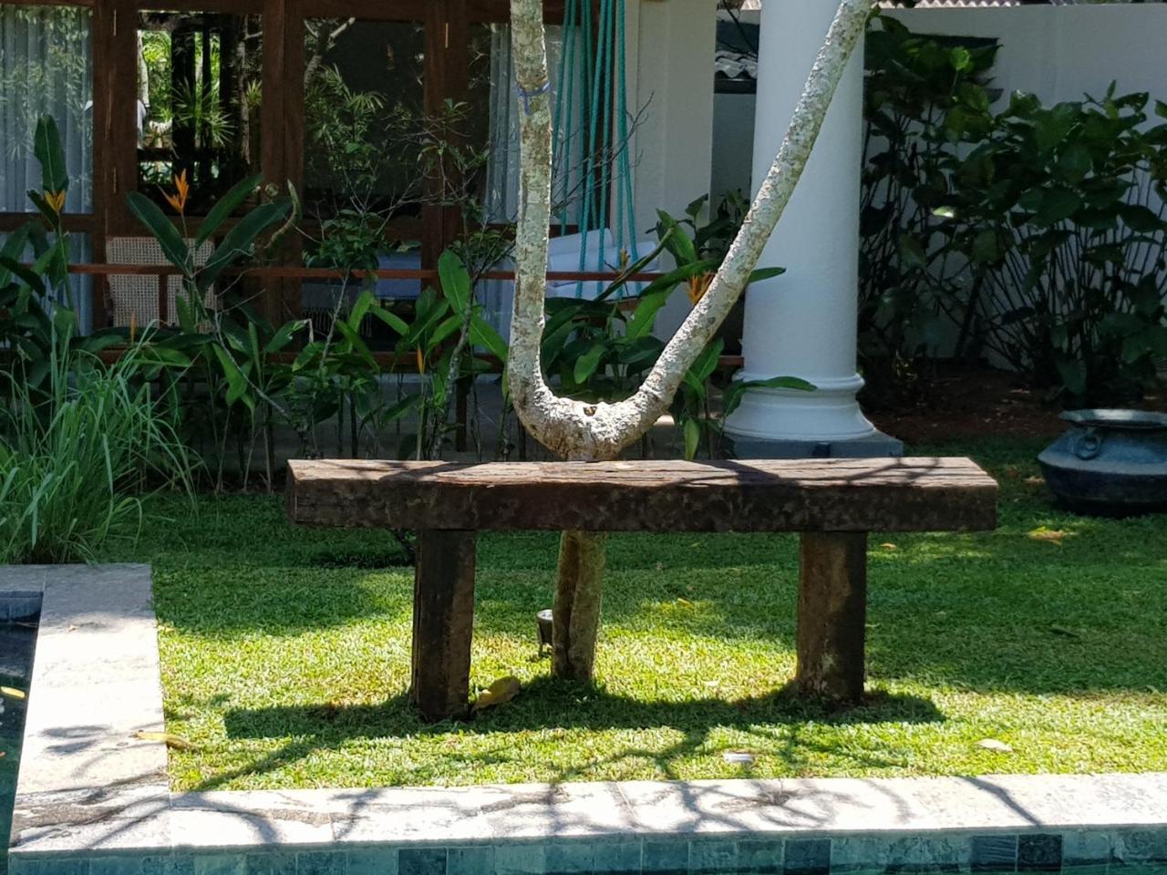 Bilin Tree House Hotel Galle Ngoại thất bức ảnh