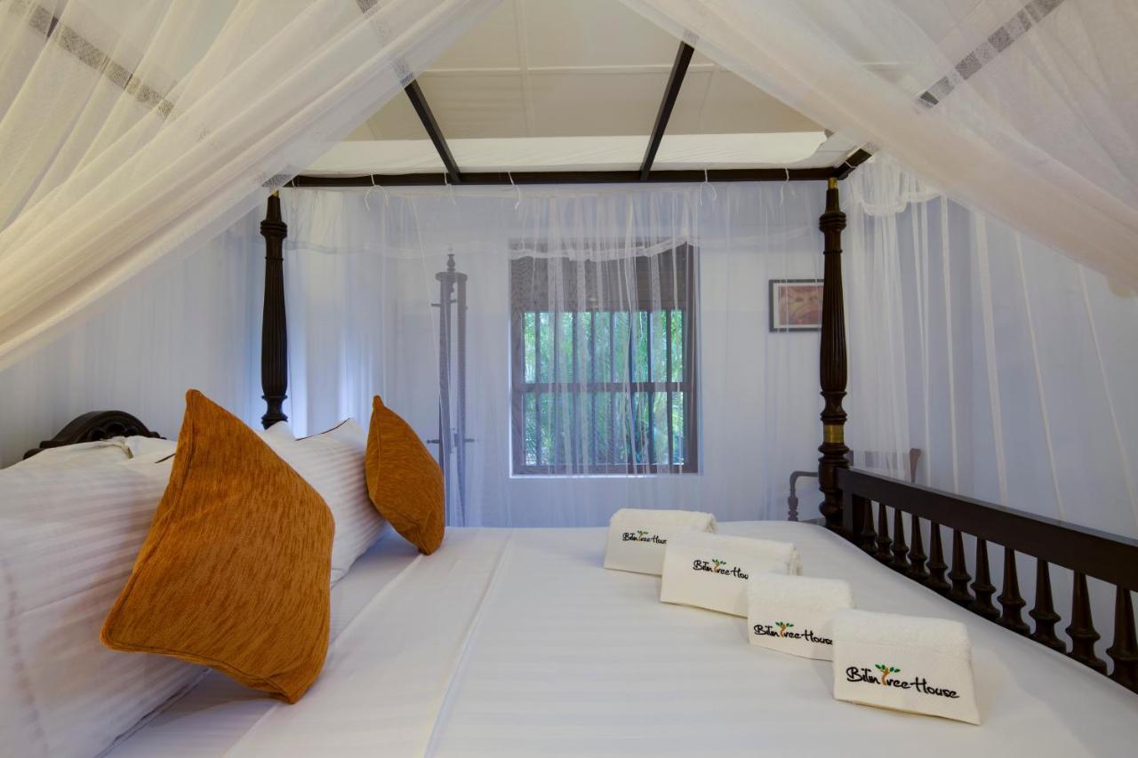 Bilin Tree House Hotel Galle Ngoại thất bức ảnh