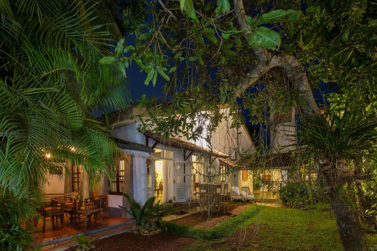 Bilin Tree House Hotel Galle Ngoại thất bức ảnh